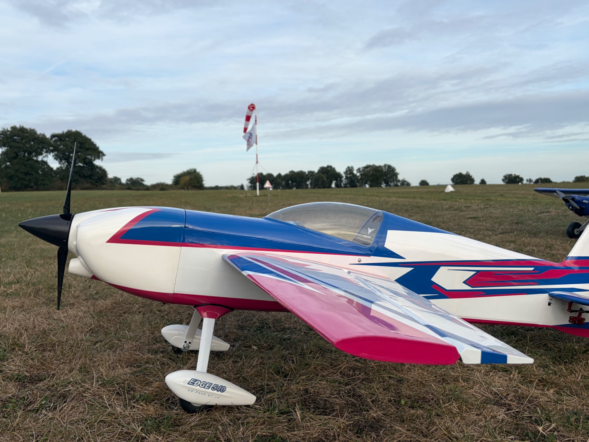 Avion radiocommandé Edge 540 sur le terrain